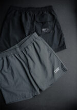 Basketcase Neighborhood Swim Short Pants, Gray